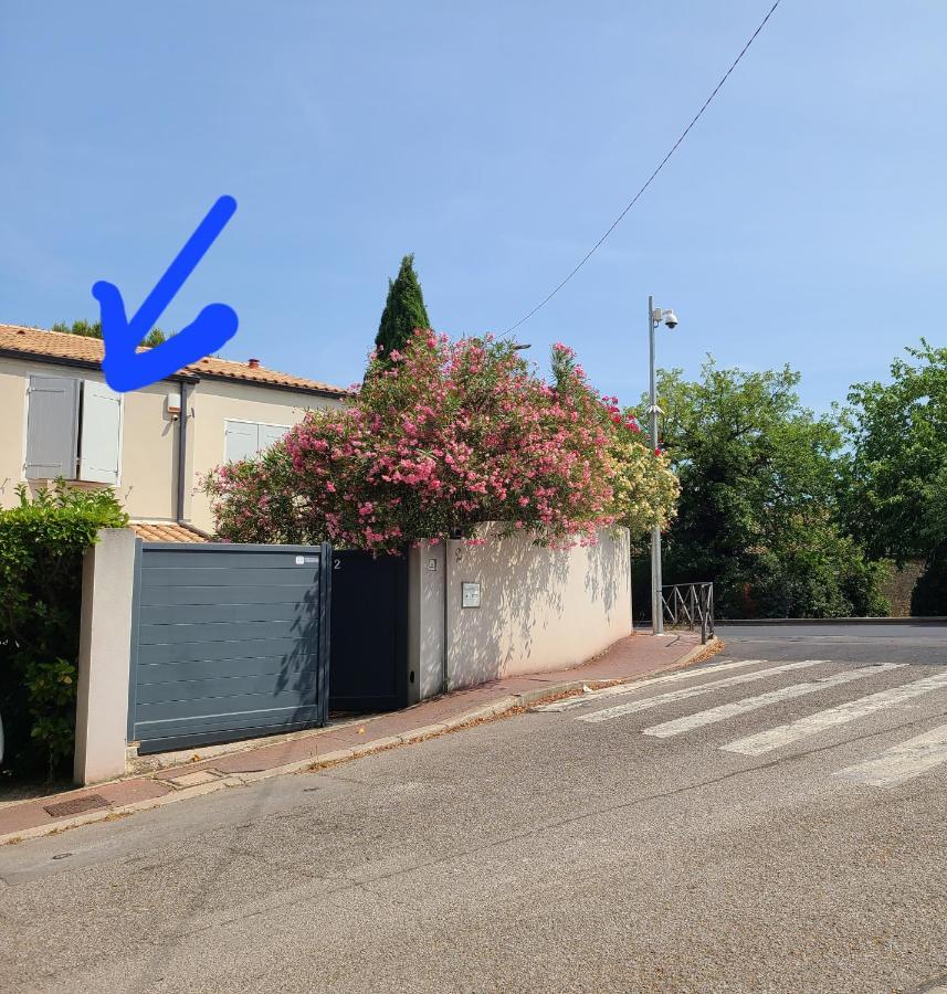 Chez Nous Dans Notre Petit Jardin Apartamento Montpellier Exterior foto